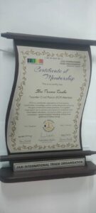 Our Awards Collection